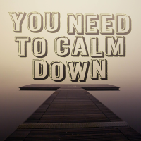 You Need To Calm Down - Full Cover cover